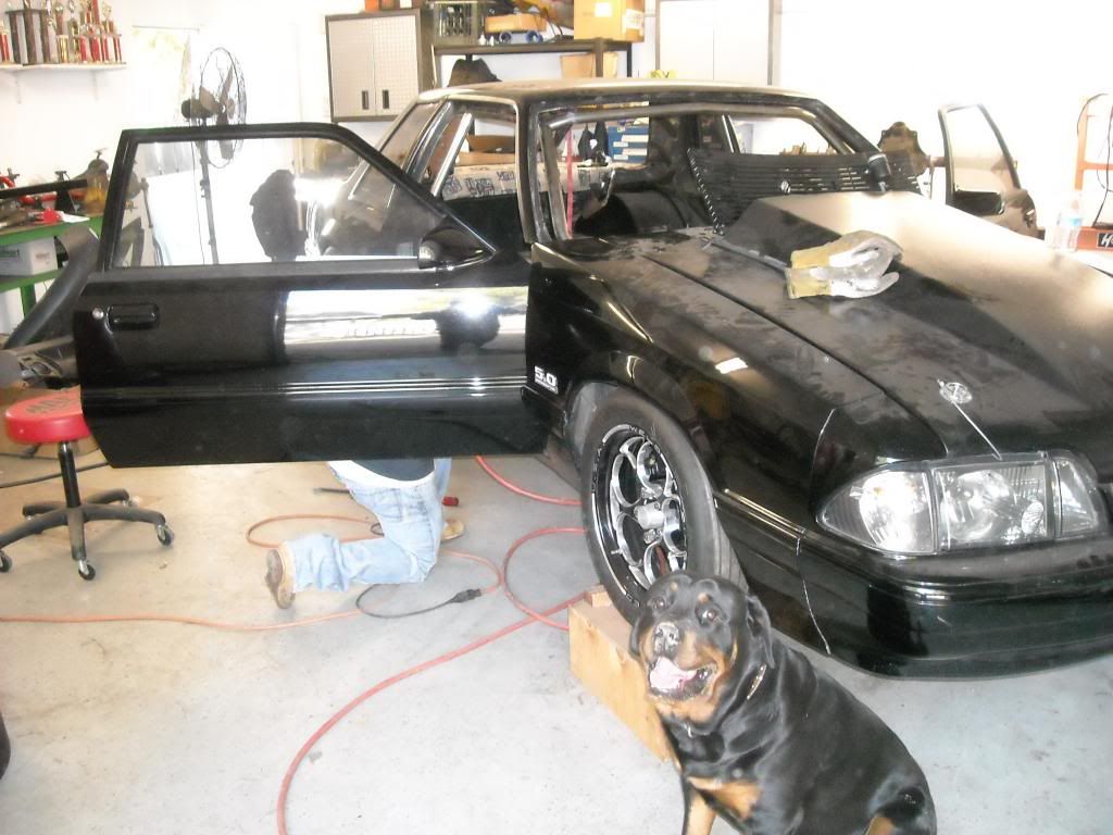 Wolfe Racecraft TTF subframes and 12pt roll cage install